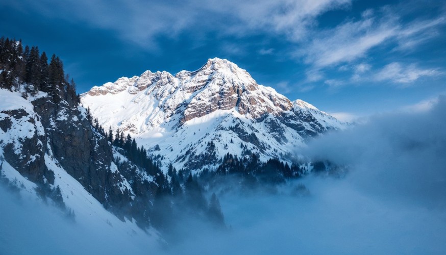 Digital Solutions Business Strategy